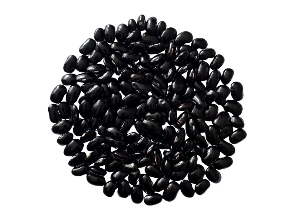 Black Ayocote Beans Frijol Ayocote Negro Premium Heirloom Whole Dried Beans Product of Mexico