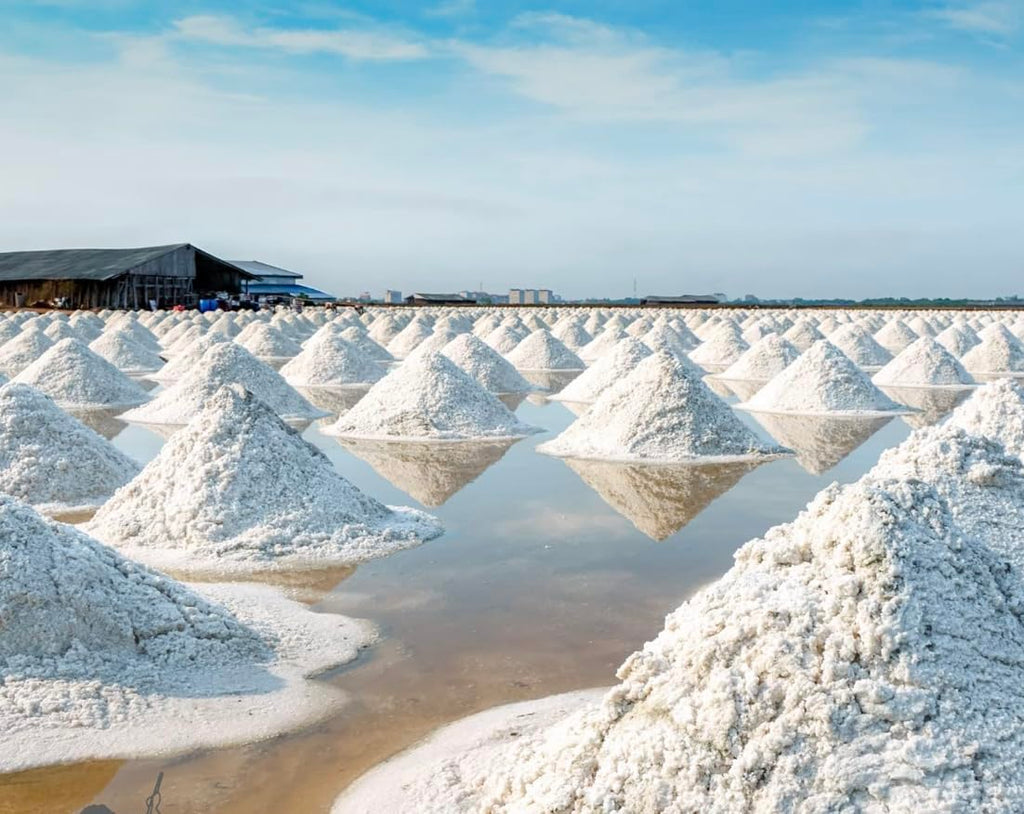 Premium Colima Sea Salt Unrefined | 100% All Natural Sea Salt, Gourmet Grade, Non GMO's. | Hand Harvested | Imported From Lagoon Cuyutlán “Tepalcates” Colima, Mexico. Colima Coarse Sea Salt - Protects Heart - Shapes Figure - Boosts Mood