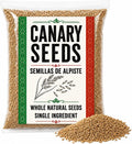 Canary Seeds – Semillas de Alpiste - Unida Alpiste Natural Grain for Human Consumption Imported from Mexico - Can Be Used as Bird Food