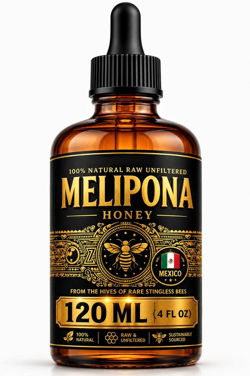 120ML JIMERITO HONEY, MIEL MELIPONA GOTAS, PURE ORIGINAL HONEY FROM MEXICO!