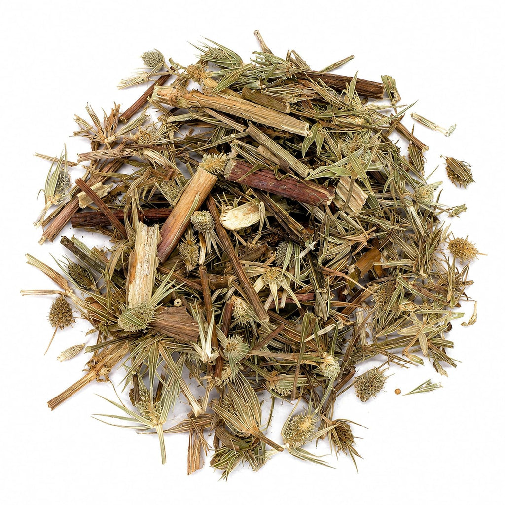 Hierba de Sapo Eryngium Heterophyllum Traditional Mexican Herb Loose Leaf, frog grass, toad grass, cardo mexicano IMPORTED FROM MEXICO
