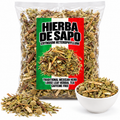 Hierba de Sapo Eryngium Heterophyllum Traditional Mexican Herb Loose Leaf, frog grass, toad grass, cardo mexicano IMPORTED FROM MEXICO